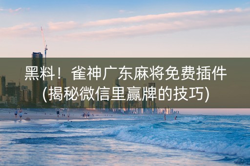 黑料！雀神广东麻将免费插件(揭秘微信里赢牌的技巧)