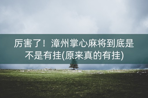 厉害了！漳州掌心麻将到底是不是有挂(原来真的有挂)