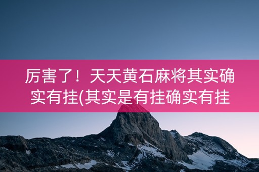 厉害了！天天黄石麻将其实确实有挂(其实是有挂确实有挂)