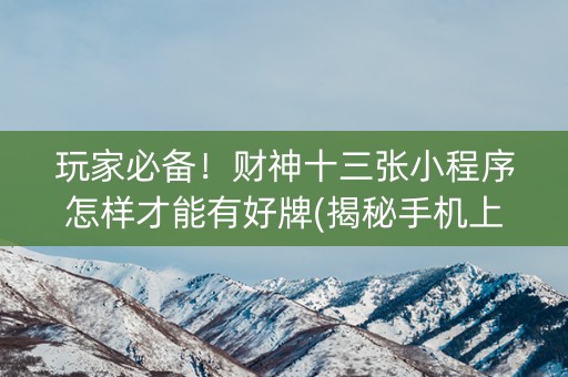 玩家必备！财神十三张小程序怎样才能有好牌(揭秘手机上胡牌神器)