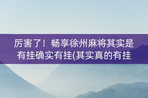 厉害了！畅享徐州麻将其实是有挂确实有挂(其实真的有挂)