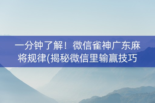 一分钟了解！微信雀神广东麻将规律(揭秘微信里输赢技巧)