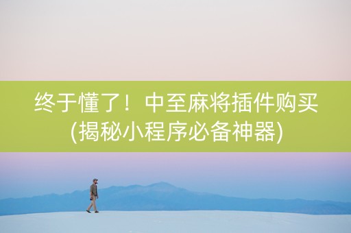 终于懂了！中至麻将插件购买(揭秘小程序必备神器)