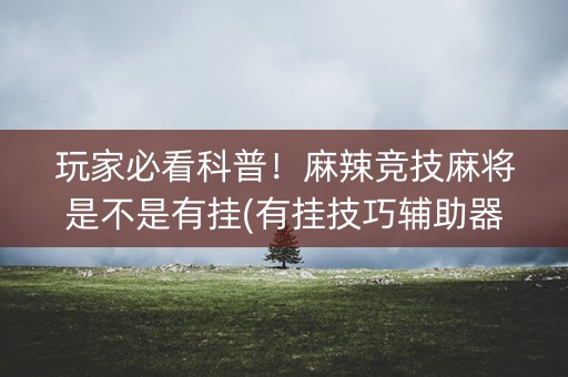 玩家必看科普！麻辣竞技麻将是不是有挂(有挂技巧辅助器)