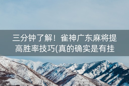 三分钟了解！雀神广东麻将提高胜率技巧(真的确实是有挂)
