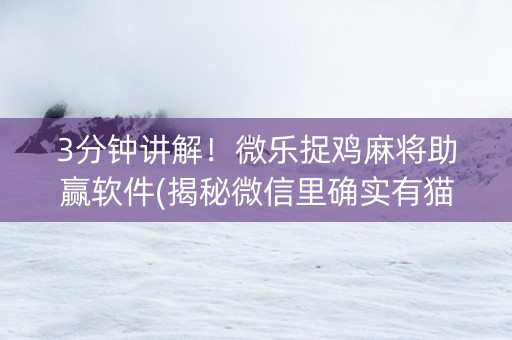 3分钟讲解！微乐捉鸡麻将助赢软件(揭秘微信里确实有猫腻)
