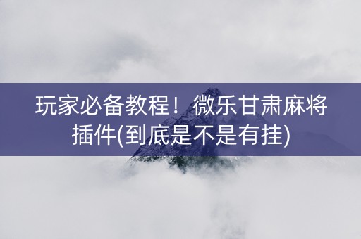 玩家必备教程！微乐甘肃麻将插件(到底是不是有挂)