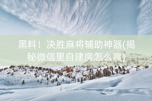 黑料！决胜麻将辅助神器(揭秘微信里自建房怎么赢)