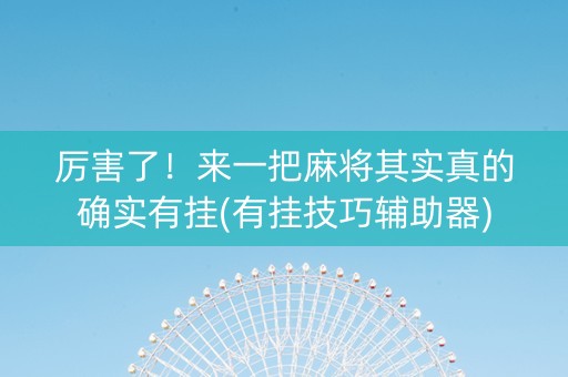 厉害了！来一把麻将其实真的确实有挂(有挂技巧辅助器)