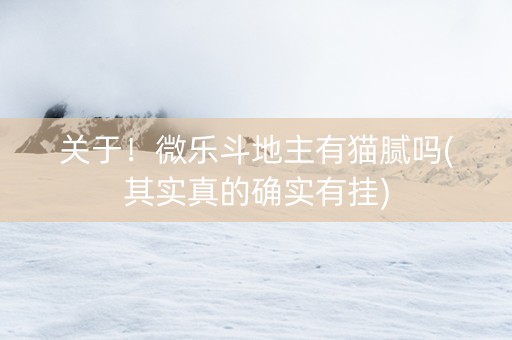 关于！微乐斗地主有猫腻吗(其实真的确实有挂)