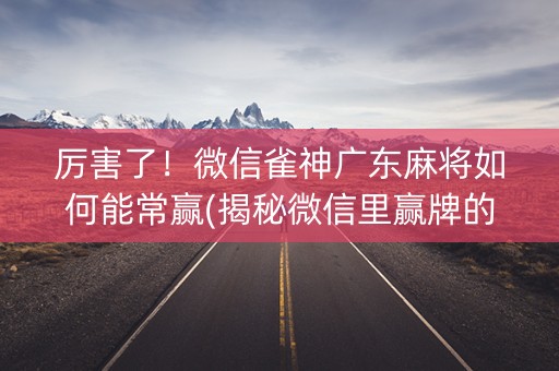 厉害了！微信雀神广东麻将如何能常赢(揭秘微信里赢牌的技巧)