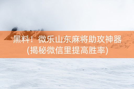 黑料！微乐山东麻将助攻神器(揭秘微信里提高胜率)