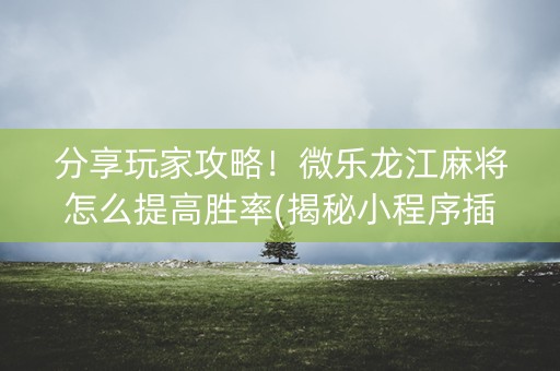 分享玩家攻略！微乐龙江麻将怎么提高胜率(揭秘小程序插件下载)