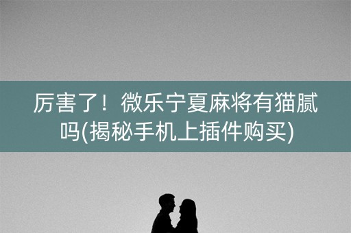 厉害了！微乐宁夏麻将有猫腻吗(揭秘手机上插件购买)