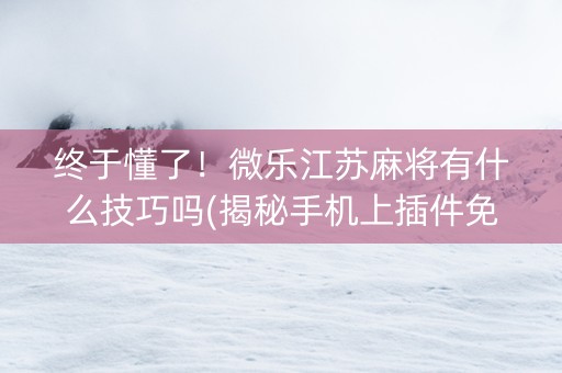 终于懂了！微乐江苏麻将有什么技巧吗(揭秘手机上插件免费)