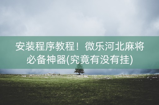 安装程序教程！微乐河北麻将必备神器(究竟有没有挂)