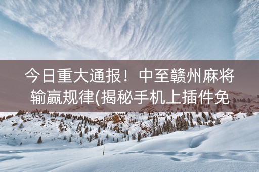 今日重大通报！中至赣州麻将输赢规律(揭秘手机上插件免费)