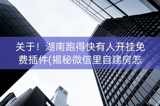 关于！湖南跑得快有人开挂免费插件(揭秘微信里自建房怎么赢)