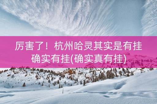 厉害了！杭州哈灵其实是有挂确实有挂(确实真有挂)