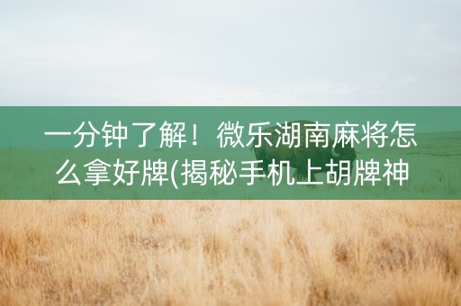 一分钟了解！微乐湖南麻将怎么拿好牌(揭秘手机上胡牌神器)