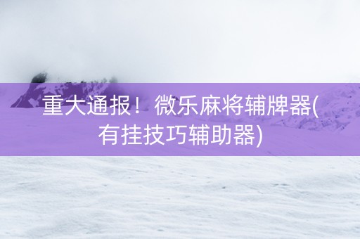 重大通报！微乐麻将辅牌器(有挂技巧辅助器)