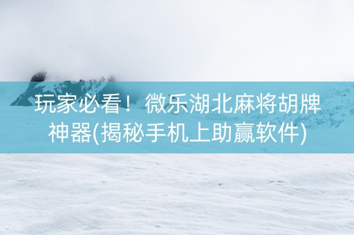 玩家必看！微乐湖北麻将胡牌神器(揭秘手机上助赢软件)