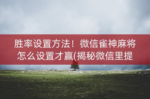 胜率设置方法！微信雀神麻将怎么设置才赢(揭秘微信里提高胜率)