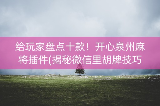 给玩家盘点十款！开心泉州麻将插件(揭秘微信里胡牌技巧)