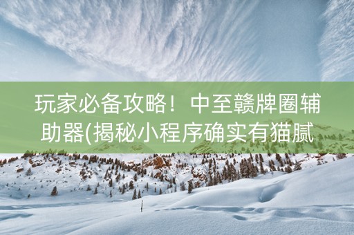 玩家必备攻略！中至赣牌圈辅助器(揭秘小程序确实有猫腻)