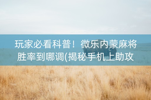 玩家必看科普！微乐内蒙麻将胜率到哪调(揭秘手机上助攻神器)