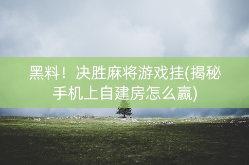 黑料！决胜麻将游戏挂(揭秘手机上自建房怎么赢)