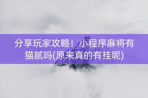分享玩家攻略！小程序麻将有猫腻吗(原来真的有挂呢)