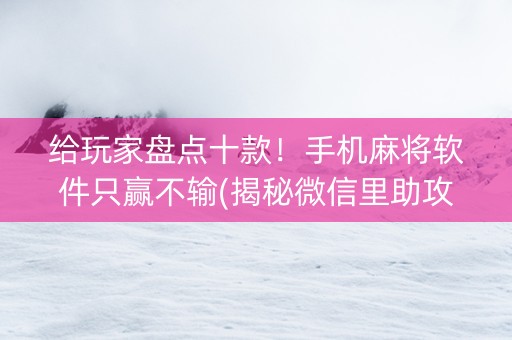 给玩家盘点十款！手机麻将软件只赢不输(揭秘微信里助攻神器)