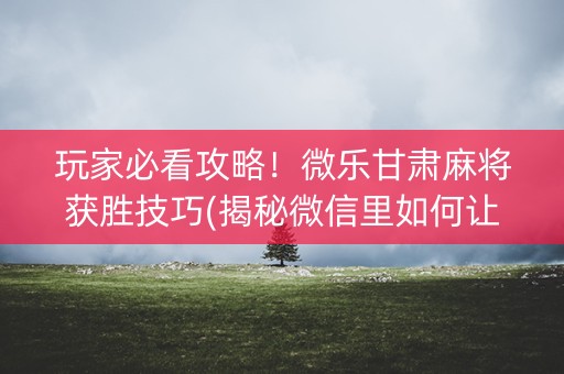 玩家必看攻略！微乐甘肃麻将获胜技巧(揭秘微信里如何让牌变好)