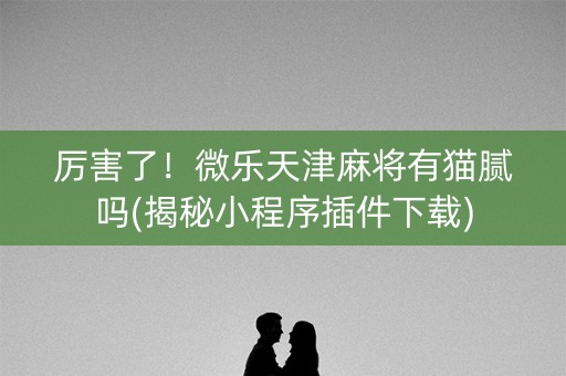 厉害了！微乐天津麻将有猫腻吗(揭秘小程序插件下载)