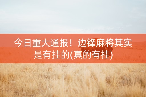 今日重大通报！边锋麻将其实是有挂的(真的有挂)