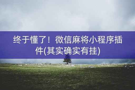 终于懂了！微信麻将小程序插件(其实确实有挂)