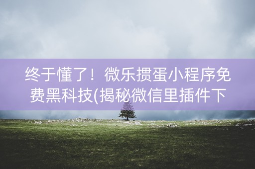 终于懂了！微乐掼蛋小程序免费黑科技(揭秘微信里插件下载)