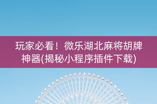 玩家必看！微乐湖北麻将胡牌神器(揭秘小程序插件下载)