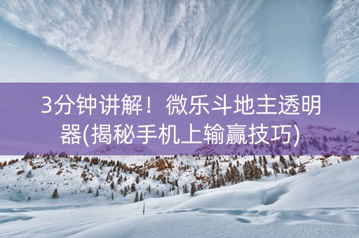 3分钟讲解！微乐斗地主透明器(揭秘手机上输赢技巧)