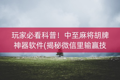 玩家必看科普！中至麻将胡牌神器软件(揭秘微信里输赢技巧)