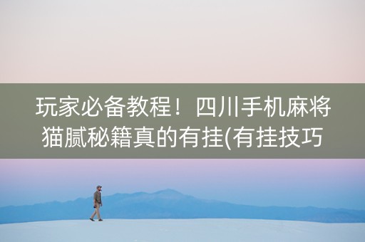 玩家必备教程！四川手机麻将猫腻秘籍真的有挂(有挂技巧辅助器)