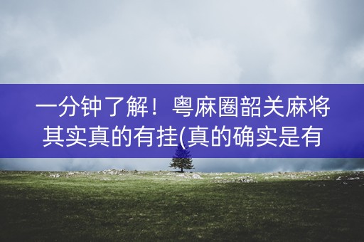 一分钟了解！粤麻圈韶关麻将其实真的有挂(真的确实是有挂)