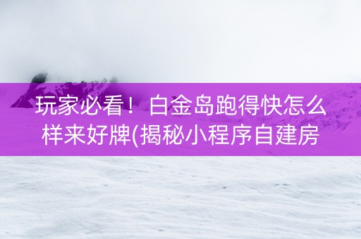 玩家必看！白金岛跑得快怎么样来好牌(揭秘小程序自建房怎么赢)