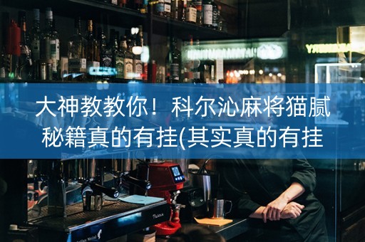 大神教教你！科尔沁麻将猫腻秘籍真的有挂(其实真的有挂)