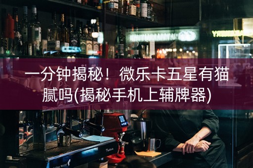 一分钟揭秘！微乐卡五星有猫腻吗(揭秘手机上辅牌器)