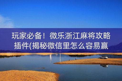 玩家必备！微乐浙江麻将攻略插件(揭秘微信里怎么容易赢)