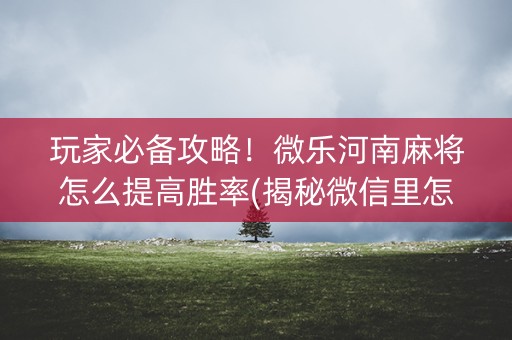 玩家必备攻略！微乐河南麻将怎么提高胜率(揭秘微信里怎么容易赢)