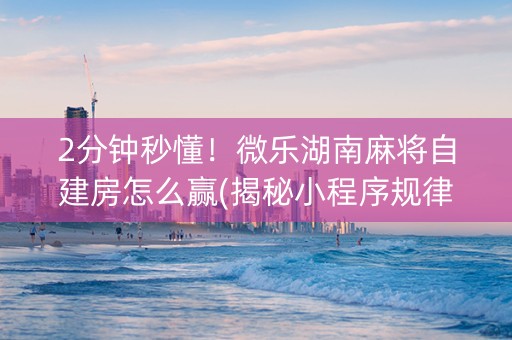 2分钟秒懂！微乐湖南麻将自建房怎么赢(揭秘小程序规律攻略)