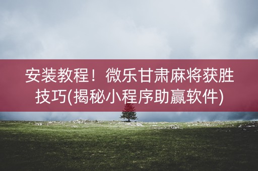 安装教程！微乐甘肃麻将获胜技巧(揭秘小程序助赢软件)